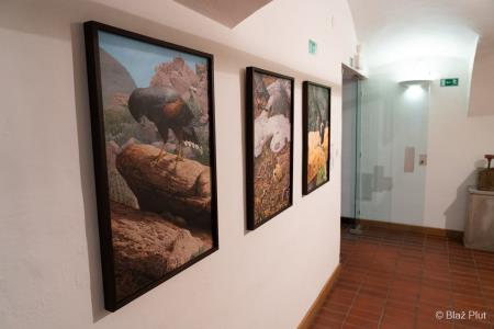 Sreda, 14. avgust (3)